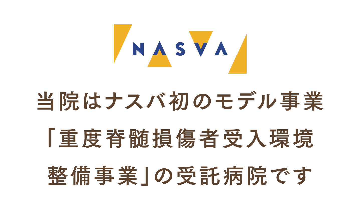 NASVAについて